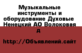 Музыкальные инструменты и оборудование Духовые. Ненецкий АО,Волоковая д.